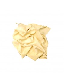 Chamois Leather Cloth